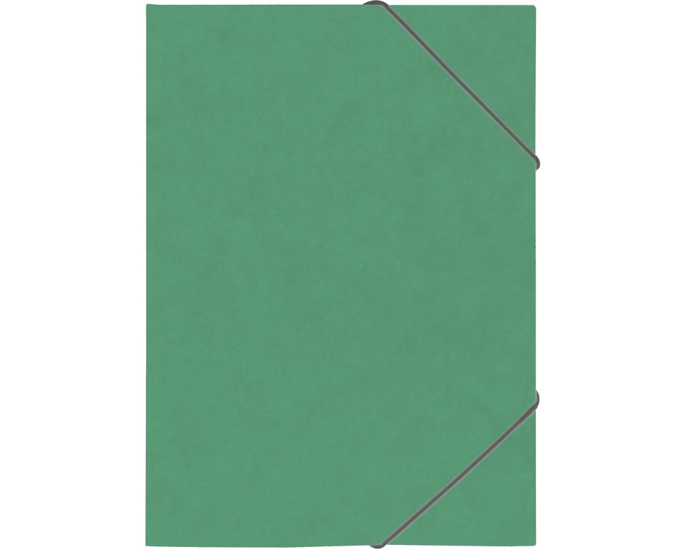 BRUNNEN Ringbuch aus Karton mit Gummizug FACT! plus in A4 grün
