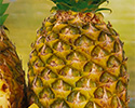 Epson 604 Ananas 

Druckerpatronen supergünstig online bestellen
