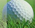 Epson 34 XL Golfball 

Druckerpatronen supergünstig online bestellen
