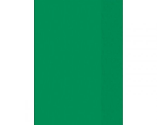 Heftumschlag A4, transparent, grün, PP