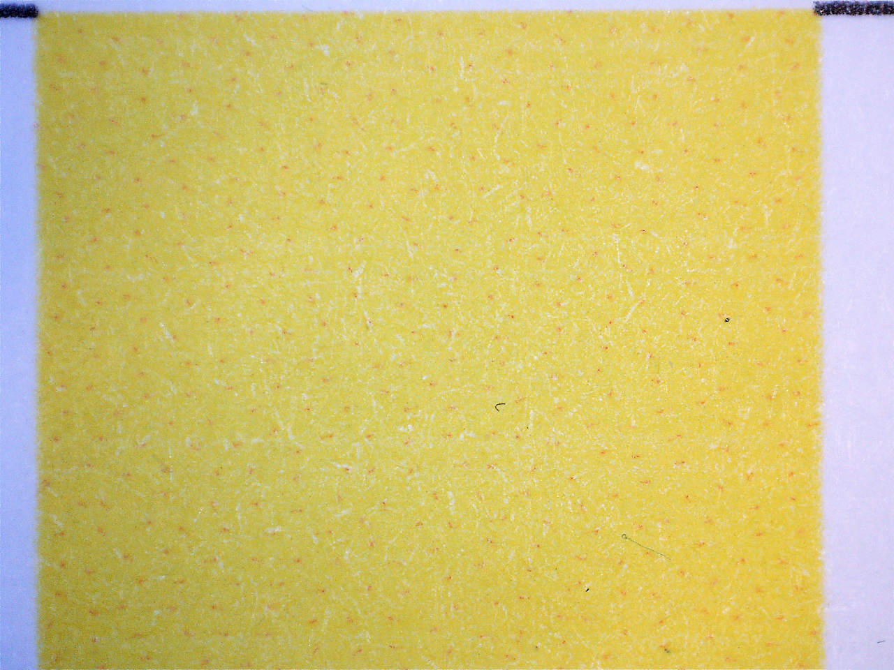 03510_g&g_bild_flaeche_ye-1.bmp