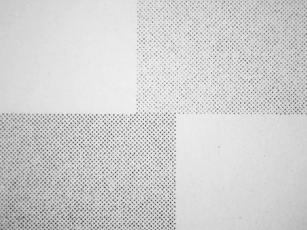 08836_raster-1.jpg