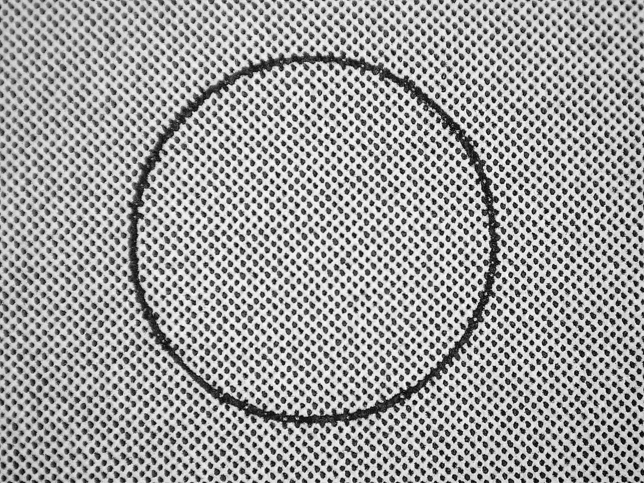 08837_raster2.jpg