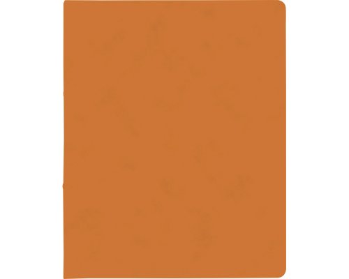 BRUNNEN Ringbuch aus Karton FACT! plus in A4 orange