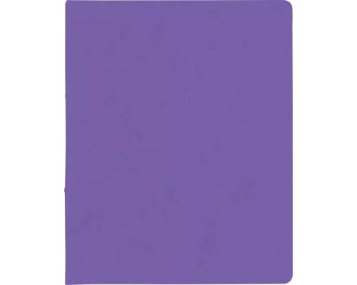 BRUNNEN Ringbuch aus Karton FACT! plus in A4 violett