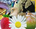 Epson Druckerpatronen

                         supergünstig online bestellen