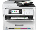 Epson T11C / T11D / T11E Tinte

                         supergünstig online bestellen