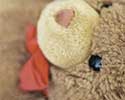 Epson T061 Teddy

                        Druckerpatronen supergünstig online bestellen