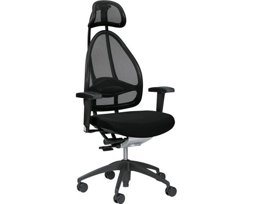 Bürostühle

                         supergünstig online bestellen