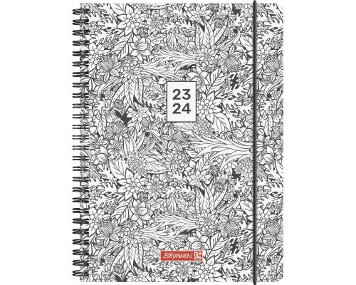BRUNNEN Schülerkalender - 18-Monats-Kalender 2023/2024 (Juli 23 - Dez 24) - A5 - ZENart